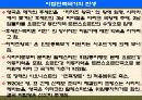 팔레스타인 분쟁 43페이지