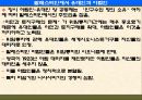 팔레스타인 분쟁 44페이지