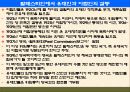 팔레스타인 분쟁 47페이지