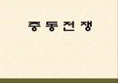 팔레스타인 분쟁 50페이지