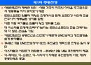팔레스타인 분쟁 53페이지