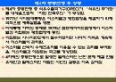 팔레스타인 분쟁 61페이지