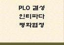 팔레스타인 분쟁 63페이지