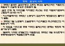 팔레스타인 분쟁 66페이지