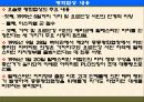 팔레스타인 분쟁 67페이지