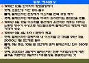 팔레스타인 분쟁 68페이지