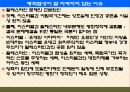 팔레스타인 분쟁 70페이지
