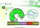 훼미리마트 프랜차이즈 시스템 6페이지