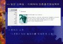웹신뢰성(Website Credibility) 측정 및 분석 23페이지