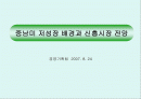 중남미 저성장의 역사적 배경과 도약 저해 요인 1페이지
