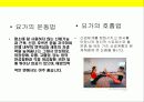 요가(Y.O.G.A)에 대한 이해 4페이지