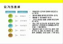 요가(Y.O.G.A)에 대한 이해 6페이지