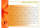 GMO의 농업적 활용과 한계 4페이지
