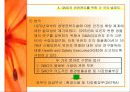 GMO의 농업적 활용과 한계 11페이지