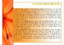 GMO의 농업적 활용과 한계 15페이지