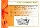 GMO의 농업적 활용과 한계 19페이지