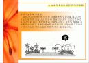 GMO의 농업적 활용과 한계 22페이지