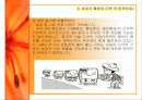 GMO의 농업적 활용과 한계 23페이지