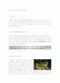 화강암분포지역의 지형 2페이지
