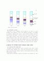 한국의 현대 경제 발전과 방향(광복이후, 박정희정권, 80년대 이후, 현재) 5페이지