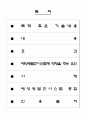 태 양 광 발 전 시 스 템 2페이지