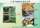 음주문화[파워포인트] 28페이지