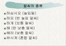 올바른 말씨와 대화기법[파워포인트] 11페이지