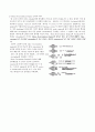 Velocity Measurement Experiment(속도실험 레포트) 5페이지