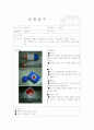 [보육실습] 교구교재 계획안 3가지 3페이지