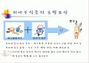 치아우식증예방법PPT 5페이지