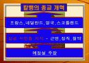 종교개혁에 대한 파워포인트 발표자료 13페이지