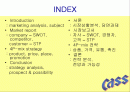 카스(CASS) 마케팅사례분석 2페이지