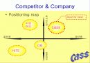 카스(CASS) 마케팅사례분석 13페이지