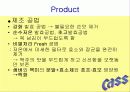 카스(CASS) 마케팅사례분석 17페이지