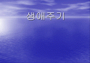생애주기와 여가활동에 대한 발표자로 파워포인트 1페이지