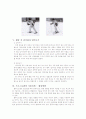 스키 자세 레포트 5페이지