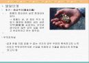 동서유럽의 절대왕정 11페이지