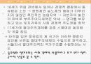 동서유럽의 절대왕정 34페이지