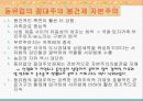 동서유럽의 절대왕정 39페이지