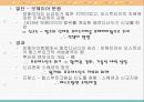 동서유럽의 절대왕정 41페이지