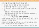 동서유럽의 절대왕정 54페이지