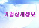 대한항공vs아시아나항공 3년간 재무분석 (05~07년) 3페이지
