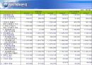 대한항공vs아시아나항공 3년간 재무분석 (05~07년) 13페이지