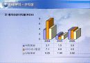 대한항공vs아시아나항공 3년간 재무분석 (05~07년) 24페이지