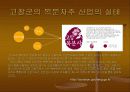마케팅원론(고창복분자주에 관하여) 11페이지