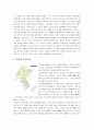 고구려의 발전과 대외관계 6페이지