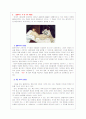 올랭피아와 야누스적 근대 5페이지