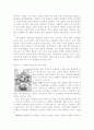지역혁신 사례- 장성군 3페이지