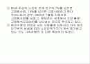 한국 가족의 변화와 특성 11페이지