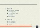 기업의 경영정보시스템 도입시 선결과제 및 도입현황 21페이지